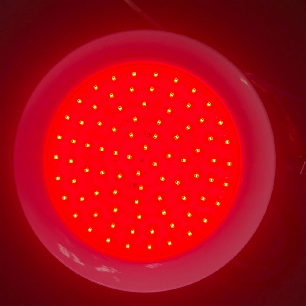 25W RGB LED Schwimmbad Licht I – Pond Light Submersible Bewertung und Preis